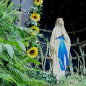 THIAGO DOMINGOS SEGHETTO